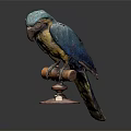 Modern Parrot Xuan Feng Parrot Budgie Shang Parrot 3d model