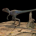 Red Headed Gray Body Reptile Dinosaur Standing On Rocky Ground With Tree Stump