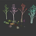 White Trunk Trees With Yellow Leaves And Colorful Small Flowers Near Stones On Reflective Gray Ground
