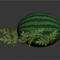 Fresh Green Striped Watermelon With Natural Green Leaves On Dark Background