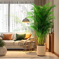 Modern Living Room with Sofa Colorful Pillows Large Green Plant Ceiling Lamp and Coffee Table