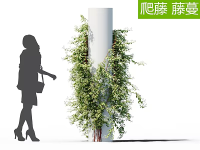 Climbing Vines Wrapped Around White Column With Green Foliage And Silhouette Figure 3d model
