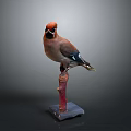 Detailed Bird Taxidermy Perched On Red Branch With Gray Base
