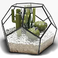 Decorative Hexagonal Glass Vase With Cactus Aloe Vera And White Pebbles