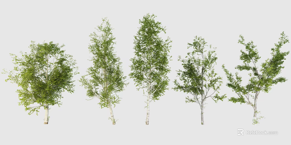 Various Arbor Trees With Green Foliage And Diverse Trunk Structures 3d model
