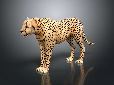 Cheetah Model Standing On Gray Surface With Reflection And Detailed Spots 3d model
