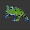 Frog Poison Frog Game Frog Reptile Cold Blooded Animal Reptile 3d model