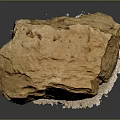 Natural Wood Stone With Yellowish Brown Color And Rough Natural Texture Displayed On White Base