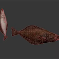 Two Fish With Brown And White Color Patterns On White Background