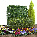 Shrubs In Garden Landscaping With Colorful Flowers Conical Green Plant And Lush Foliage