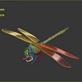 Detailed 3D Dragonfly Model Featuring Blue Body Red Head And White Wings