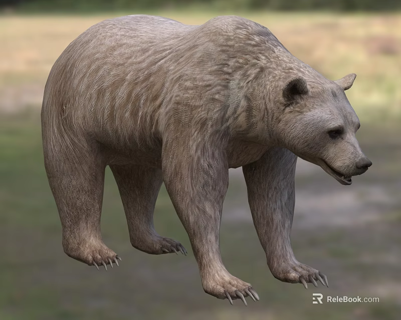 Strong Brown Bear With Thick Fur In Blurred Natural Habitat 3d model 