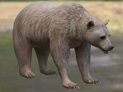 Strong Brown Bear With Thick Fur In Blurred Natural Habitat 3d model