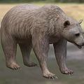 Strong Brown Bear With Thick Fur In Blurred Natural Habitat