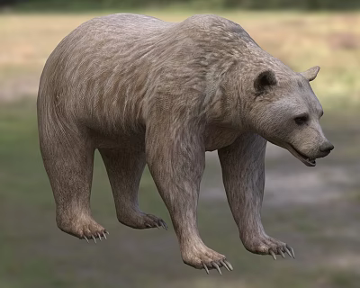 Strong Brown Bear With Thick Fur In Blurred Natural Habitat 3d model