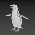 Cute Penguin Standing With Open Wings And Black White Feathers On Plain White Background