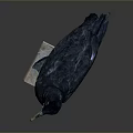 Black Bird Standing On Square Wooden Base With Detailed Feathers