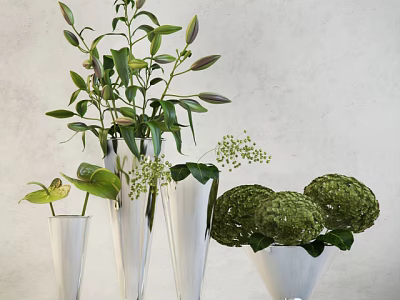Stylish Glass Vases With Green Leaves and Hydrangea Flowers Against Light Wall 3d model