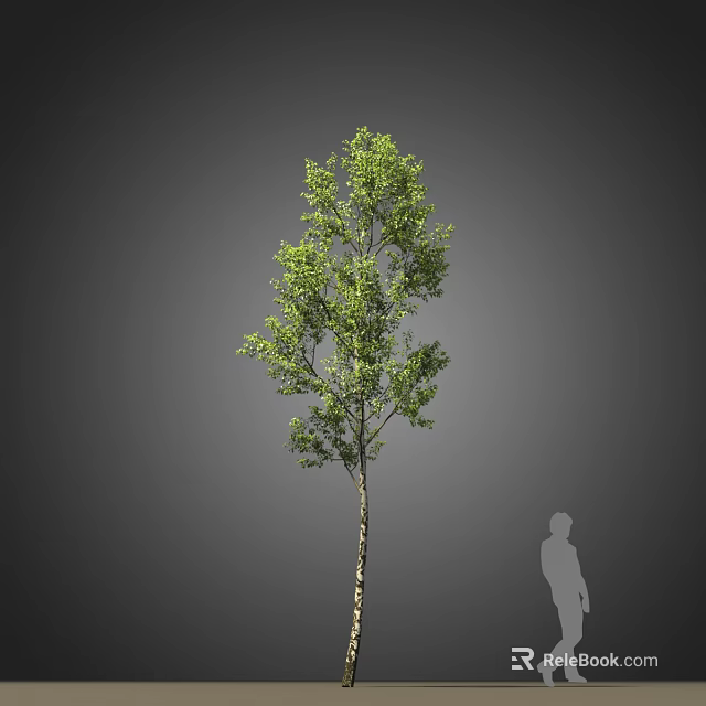 Tall Arbor with Lush Green Leaves and Slender Trunk Featuring Human Silhouette 3d model 