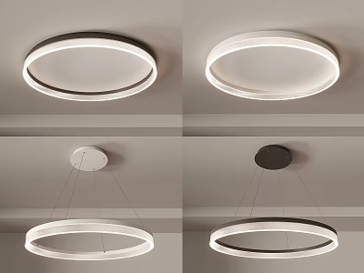 Sleek Modern Round Lighting Combinations With Ceiling Pendant Designs In White And Black 3d model