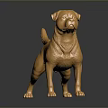Golden Dog Statue in Standing Pose With Shiny Metallic Surface