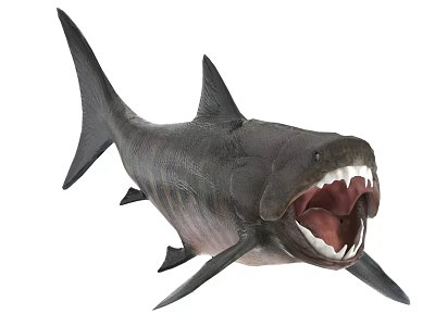 Fierce Striped Dark Aquatic Shark With Open Mouth And Sharp Teeth 3d model
