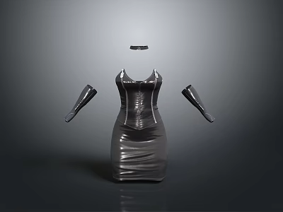 Elegant Silver Dress With Fitted Design Sleeves And Belt For Daily Living Use 3d model