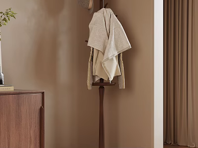 Cozy Home Entryway With Wooden Coat Rack Hanging Clothes Cabinet Vase Plant And Curtain 3d model