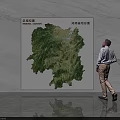 Wall Decor Green Regional Map with Clear Mountain Terrain on Marble Wall Man Viewing