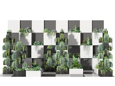 Bonsai Potted Plants Wall Display With Diverse Species And Stylish Planters 3d model