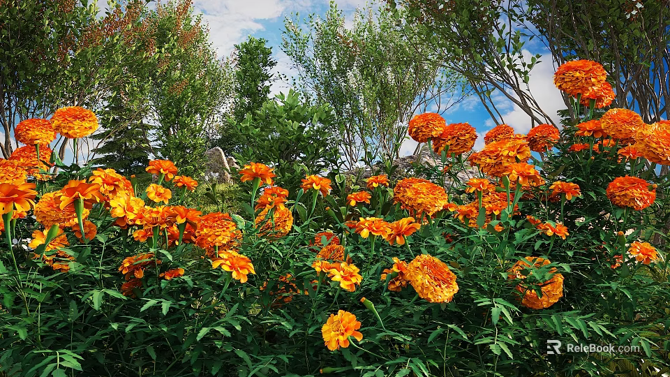 Vibrant Flowering Shrubs With Bright Orange Blooms And Lush Green Leaves 3d model 