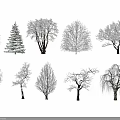 Diverse Snow Covered Trees In Different Winter Forms And Natural Landscapes