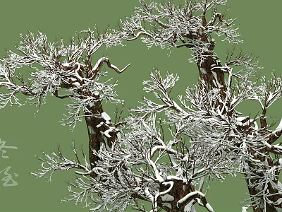 Snow Covered Arbor Trees With Intertwined Branches Brown Trunks And Green Background 3d model