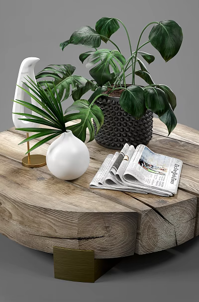 Round Wooden Coffee Table with Natural Wood Style Plant Bird Decor Newspaper and Vase 3d model