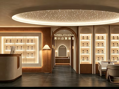 Modern Luxury Beauty Salon Interior With Reception Desk Shelves Products Lighting Sofa And Mirror 3d model