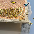 Bees and Butterflies Flying Around Wooden Honeycomb Platform Collecting Nectar