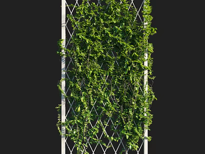 Living Green Plant Wall With Climbing Vines On Grid Trellis For Indoor Decoration 3d model