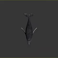 Blue Whale 3D Model With White Fins On Smooth Black Surface Showing Reflection