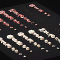Multiple red and white tents arranged on black background with white structures nearby