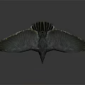 Black Bird With Spread Wings And Red Beak Standing On Gray Background 3d model