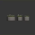 Small White Flowers Growing in Multiple Gray Pots with Green Leaves