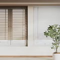 Wooden and White Window Blinds in Light Interior Room with Green Plant Decoration