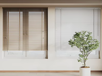 Wooden and White Window Blinds in Light Interior Room with Green Plant Decoration 3d model