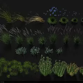 Various Green Grasses Purple Lavender and Blue Blooms Arranged on Black Background