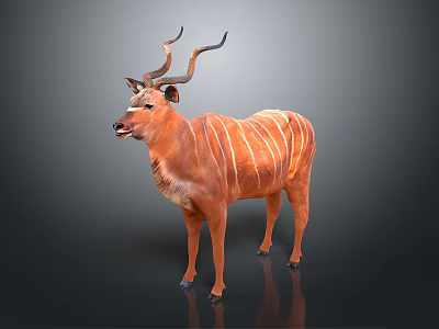 Brown Antelope With White Stripes And Curved Horns On Gray Background 3d model