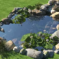 Garden Pond with Stones Lily Pads Water Lilies and Fish in Green Grass