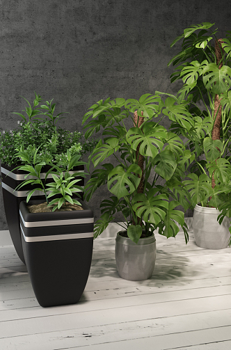 Modern Potted Plant 3d model