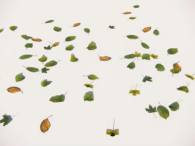 Scattered Leaves With Various Shapes And Colors On White Background 3d model