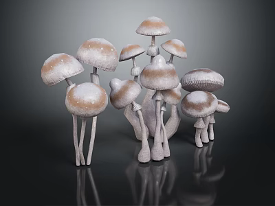 Fresh White And Brown Spotted Mushrooms In Cluster On Black Reflective Surface 3d model