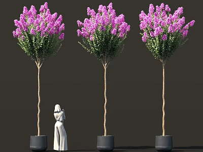 Bonsai Potted Plants Featuring Purple Flowers Slender Trunks Black Pots and White Statue 3d model